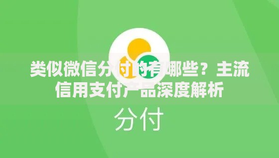 类似微信分付的有哪些？主流信用支付产品深度解析