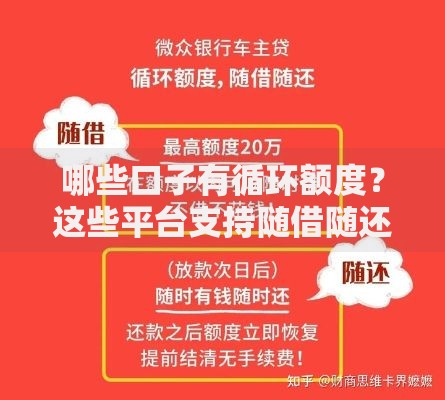 哪些口子有循环额度？这些平台支持随借随还