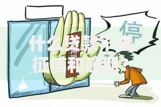 什么贷款不查征信和逾期？这些渠道或许能帮到你
