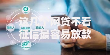 这几个网贷不看征信最容易放款：快速到账平台解析