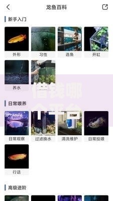 借钱哪个平台最可靠？权威评测助你安心借贷