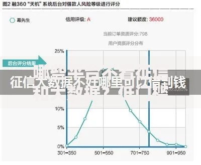 哪些平台不看征信和大数据？低门槛借款渠道解析