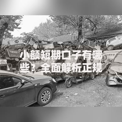小额短期口子有哪些？全面解析正规平台与申请技巧