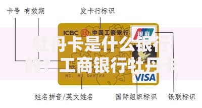 牡丹卡是什么银行的？工商银行牡丹卡全面解析与使用指南