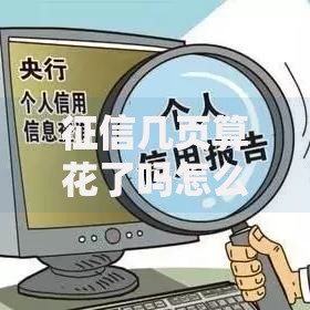 征信几页算花了吗怎么查？记录明细与影响深度解析