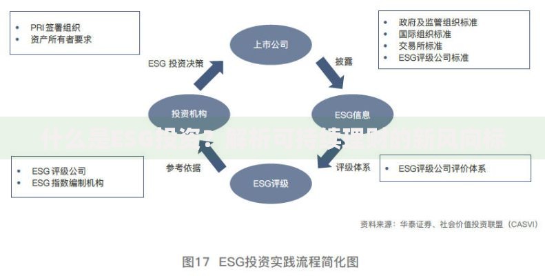 什么是ESG投资？解析可持续理财的新风向标