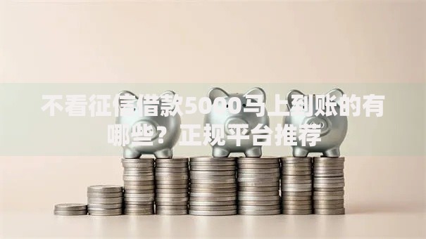 不看征信借款5000马上到账的有哪些？正规平台推荐