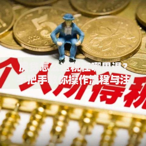 房贷怎么退税在哪里退？手把手教你操作流程与注意事项