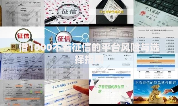 借1000不看征信的平台风险与选择指南