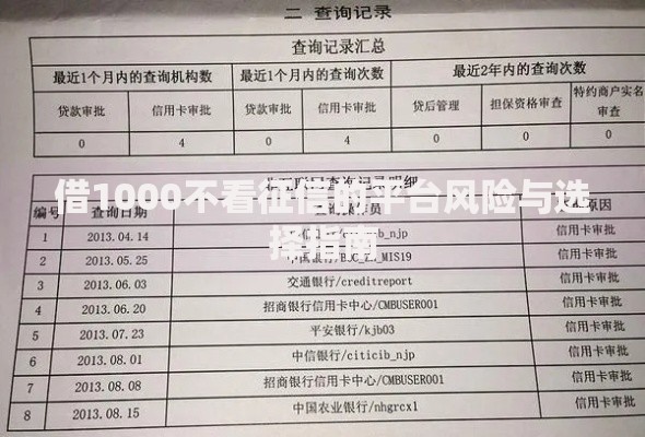 借1000不看征信的平台风险与选择指南