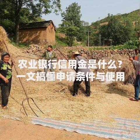 农业银行信用金是什么？一文搞懂申请条件与使用技巧