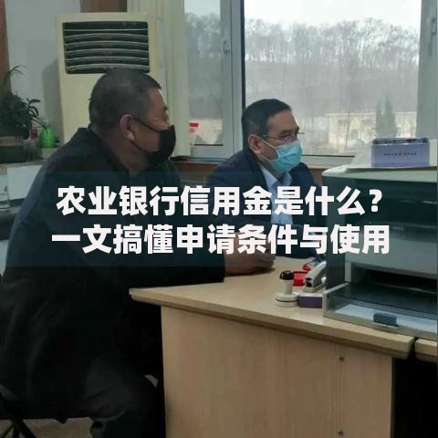 农业银行信用金是什么？一文搞懂申请条件与使用技巧