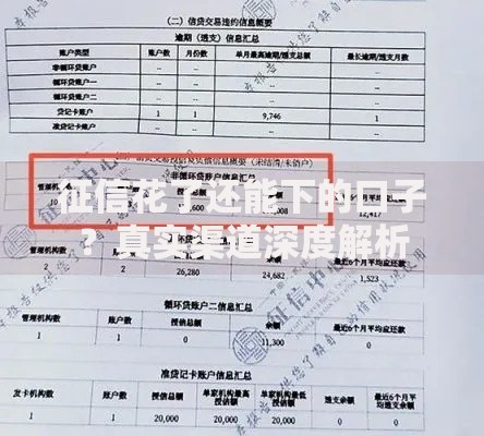 征信花了还能下的口子？真实渠道深度解析