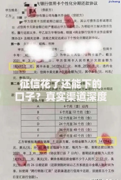 征信花了还能下的口子？真实渠道深度解析