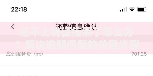 还不上钱征信黑了怎么办？解决逾期问题的关键步骤