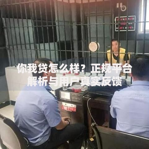 你我贷怎么样？正规平台解析与用户真实反馈