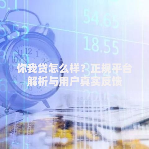 你我贷怎么样？正规平台解析与用户真实反馈