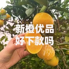 新橙优品好下款吗？审核条件+申请流程+下款速度全解析
