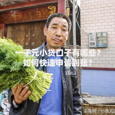 一千元小贷口子有哪些?如何快速申请到账? 一千元小贷口子有哪些?如何快速申请到账?