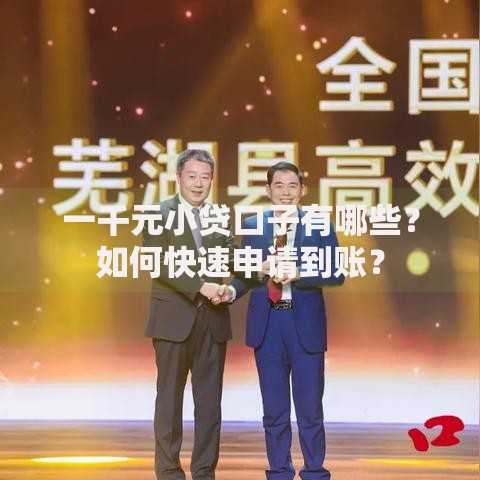 一千元小贷口子有哪些?如何快速申请到账? 一千元小贷口子有哪些?如何快速申请到账?