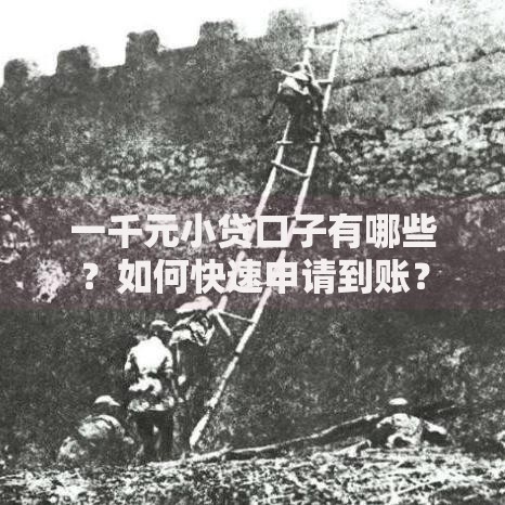 一千元小贷口子有哪些?如何快速申请到账? 一千元小贷口子有哪些?如何快速申请到账?