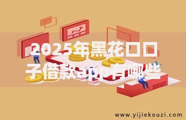 2025年黑花口口子借款app有哪些？最新风险解析与应对策略