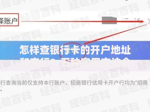 怎样查银行卡的开户地址和支行？五种实用方法全解析