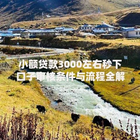 小额贷款3000左右秒下口子审核条件与流程全解析