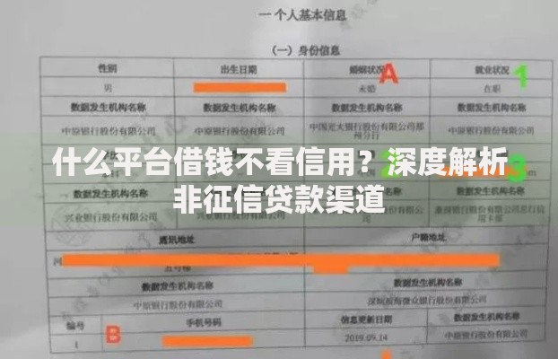 什么平台借钱不看信用？深度解析非征信贷款渠道