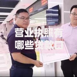 营业执照有哪些贷款口子？企业主必知的融资渠道解析