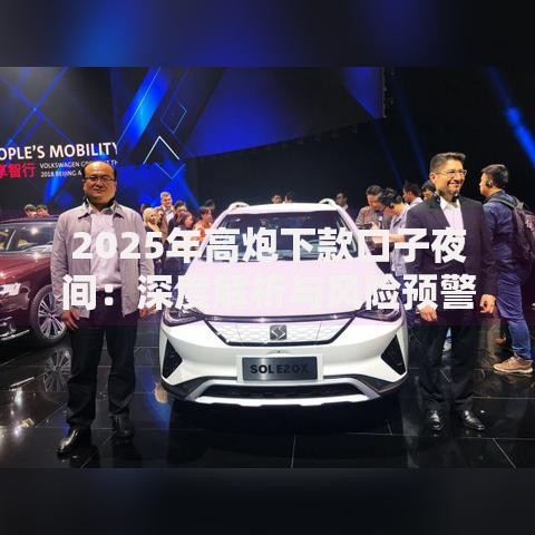 2025年高炮下款口子夜间：深度解析与风险预警