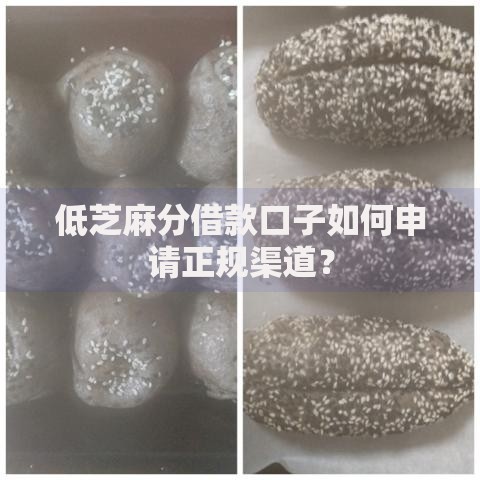 低芝麻分借款口子如何申请正规渠道？