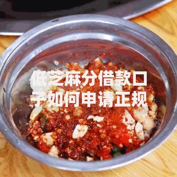 低芝麻分借款口子如何申请正规渠道？