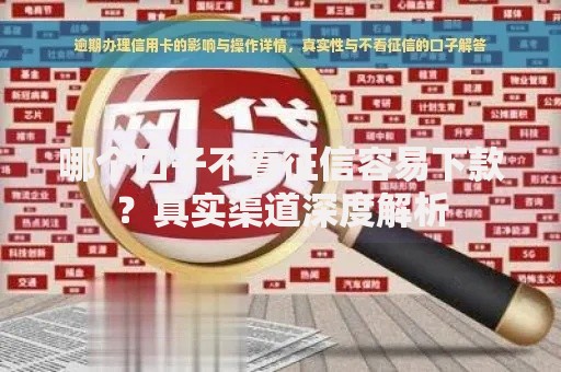哪个口子不看征信容易下款？真实渠道深度解析