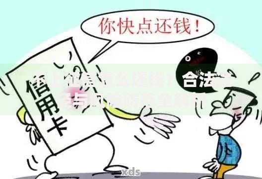 不上征信怎么还钱？合法途径与风险防范全解析