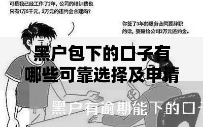 黑户包下的口子有哪些可靠选择及申请攻略