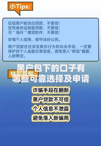 黑户包下的口子有哪些可靠选择及申请攻略