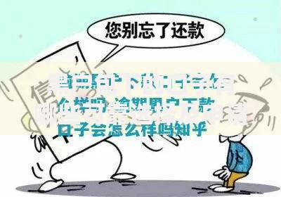 黑户包下的口子有哪些可靠选择及申请攻略