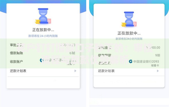 花户钉钉借款口子秒下的：审核流程与放款优势解析