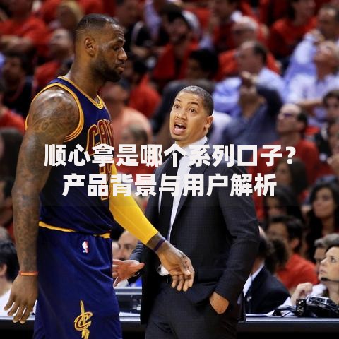 顺心拿是哪个系列口子？产品背景与用户解析