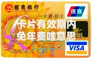 卡片有效期内免年费啥意思？搞懂这些门道再办卡不踩坑