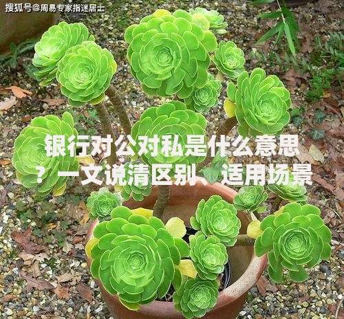 银行对公对私是什么意思？一文说清区别、适用场景与选择技巧