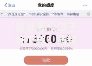 贷款哪个口子好下款？最新平台选择攻略解析