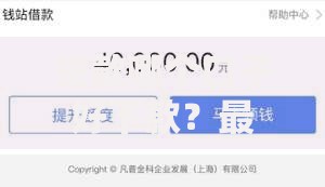 贷款哪个口子好下款？最新平台选择攻略解析