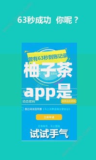 柚子茶app是哪个系列的口子？深度解析其贷款产品类型