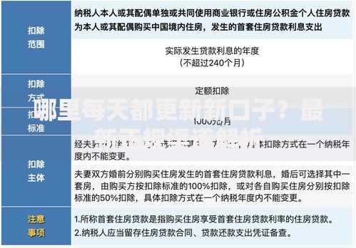 哪里每天都更新新口子？最新正规渠道解析