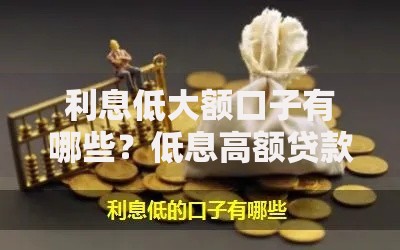 利息低大额口子有哪些？低息高额贷款渠道解析