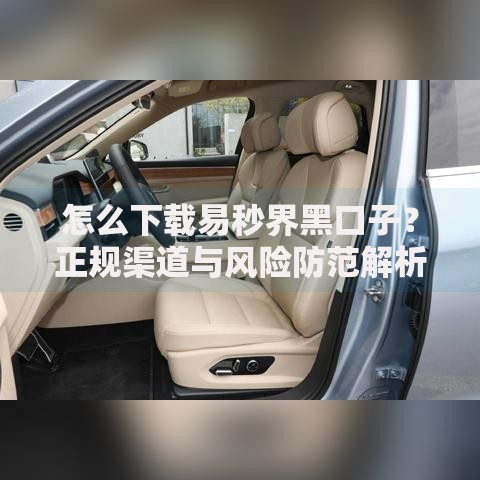 怎么下载易秒界黑口子？正规渠道与风险防范解析