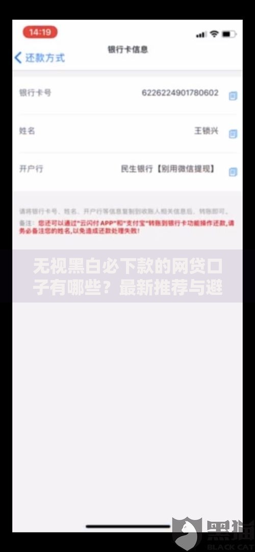 无视黑白必下款的网贷口子有哪些？最新推荐与避坑指南
