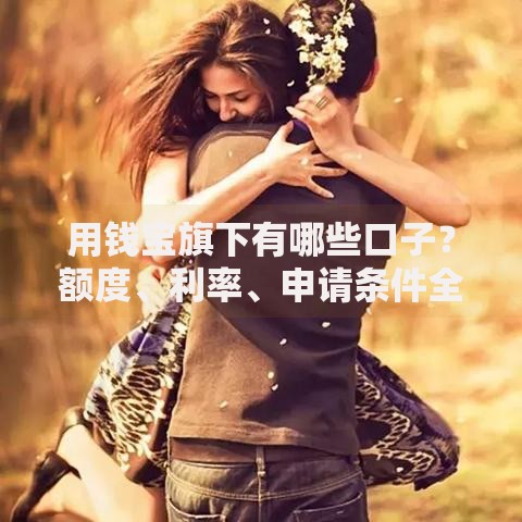 用钱宝旗下有哪些口子？额度、利率、申请条件全解析